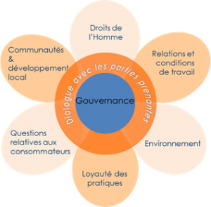 Schéma du RSE (source : cabinet Sense)